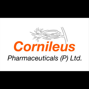 Recruiter company logo